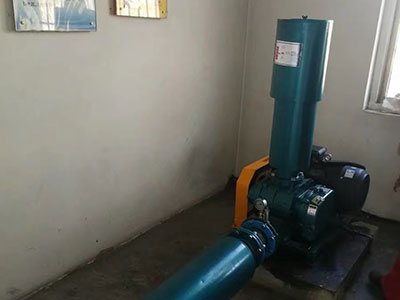 羅茨風機 羅茨風機